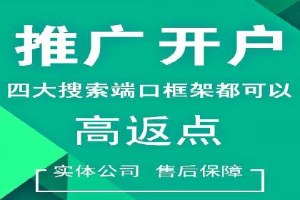 竞价托管服务案例解析